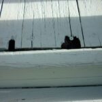 Deck Rot