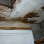 Mold
